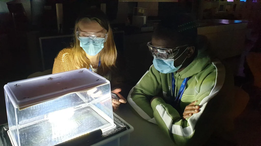 2021 – Belgian High-School Students Internship Programme